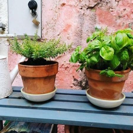 הוילה אלביסולה סופריורה La Casa Di Mo מראה חיצוני תמונה