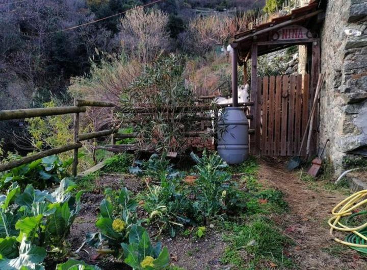 הוילה אלביסולה סופריורה La Casa Di Mo מראה חיצוני תמונה
