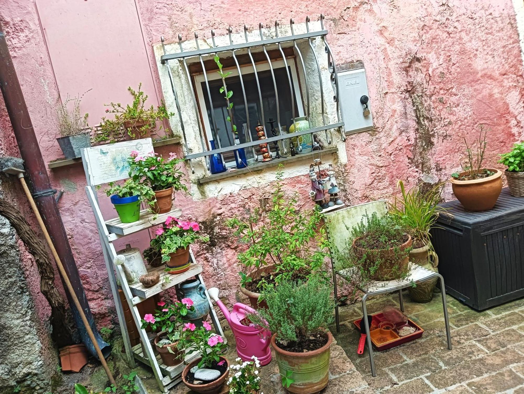 הוילה אלביסולה סופריורה La Casa Di Mo מראה חיצוני תמונה